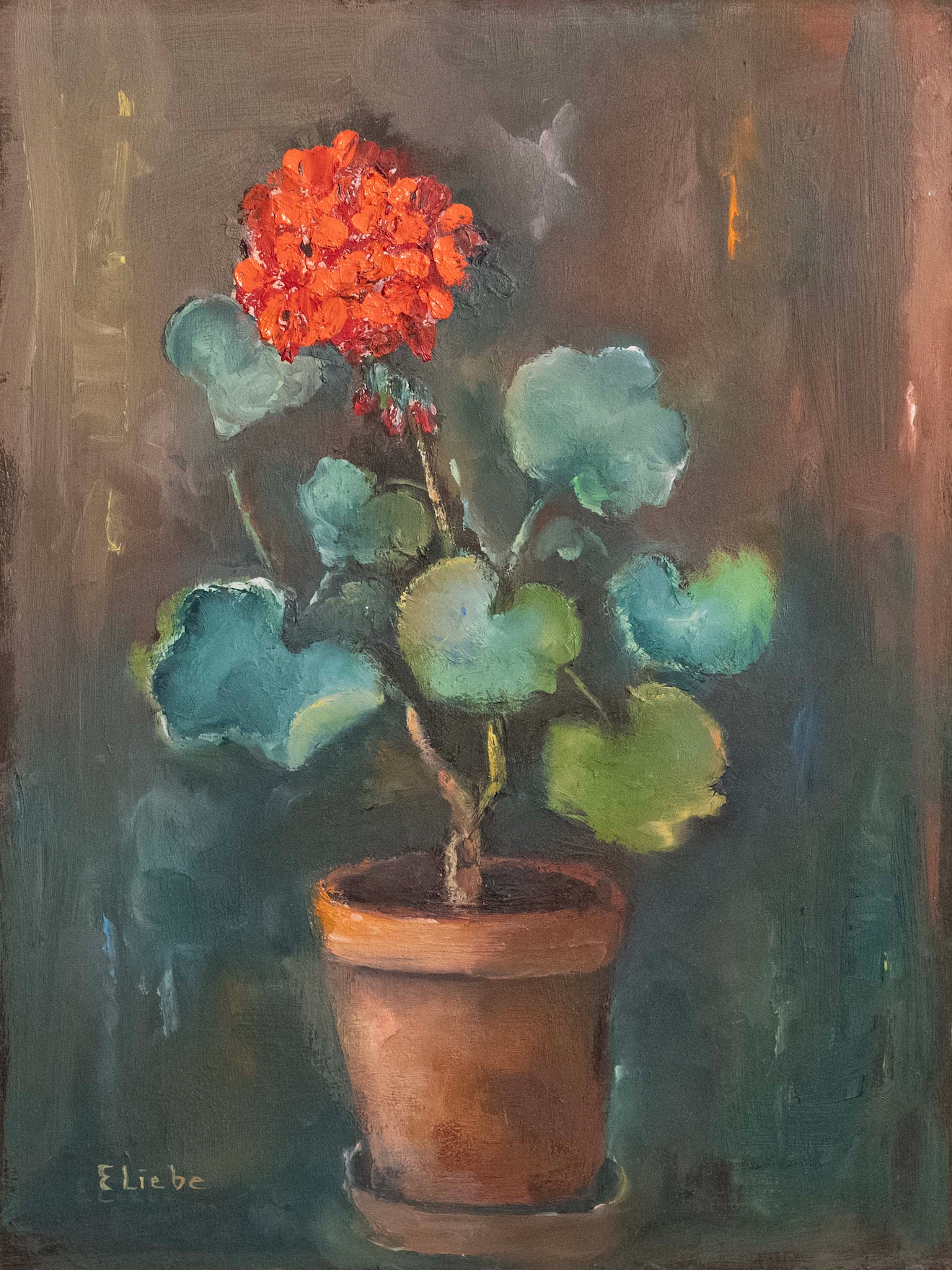 Liebe Emmy, Geranium, 1302