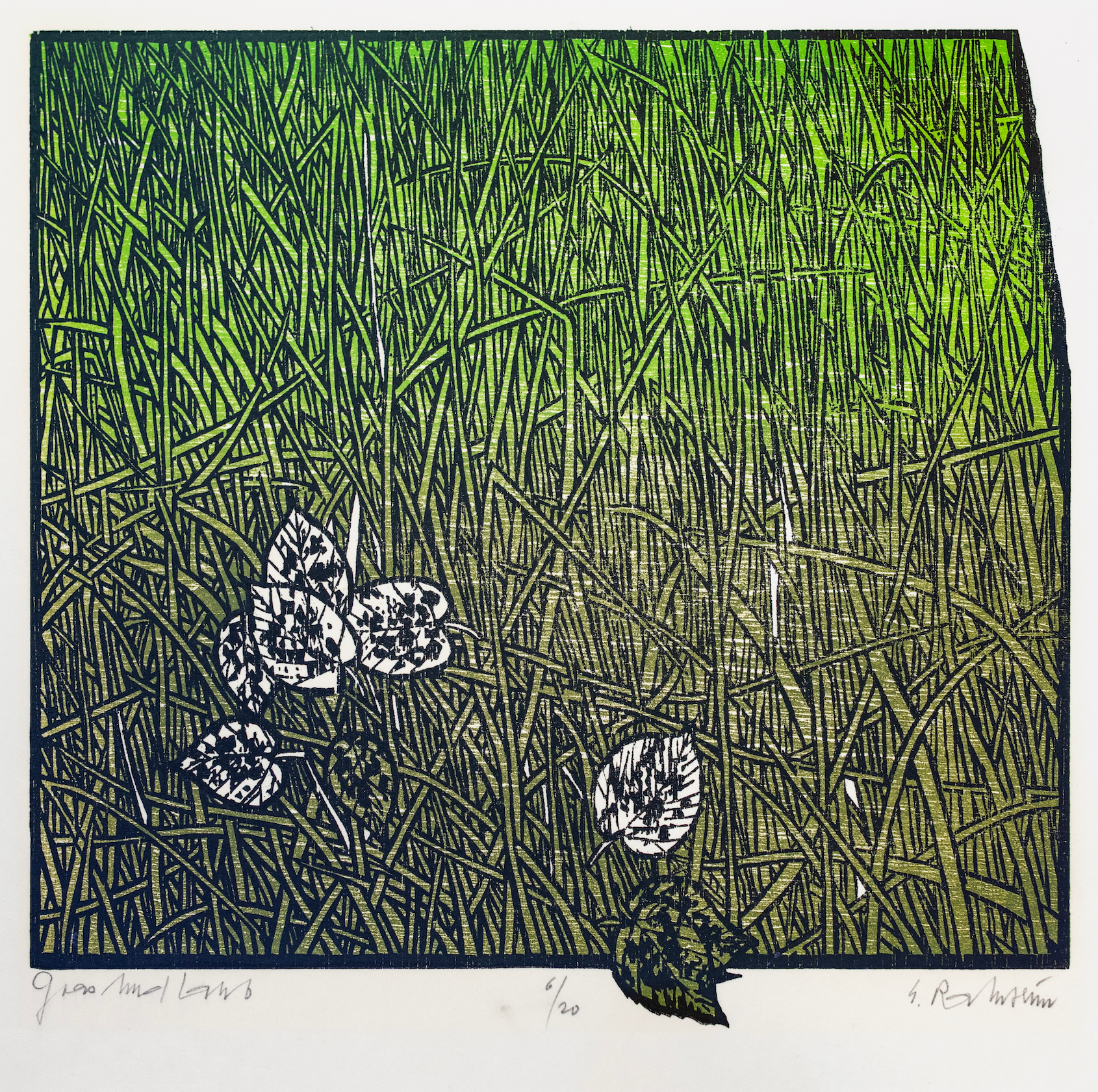 Ramseier Ernst, Gras und Laub, 1362